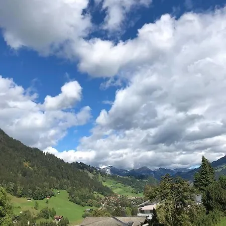 Region De Gstaad - Ultra Modern Apartment- Huge Roof Terrace - Great Views Zweisimmen