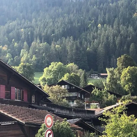 Region De Gstaad - Ultra Modern Apartment- Huge Roof Terrace - Great Views