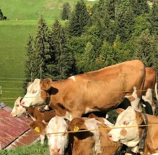 Region De Gstaad - Ultra Modern Apartment- Huge Roof Terrace - Great Views צווייזימן