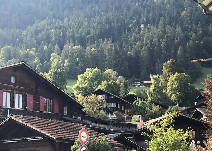 Region De Gstaad - Ultra Modern Apartment- Huge Roof Terrace - Great Views