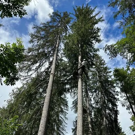 아파트 Region De Gstaad - Ultra Modern Apartment- Huge Roof Terrace - Great Views