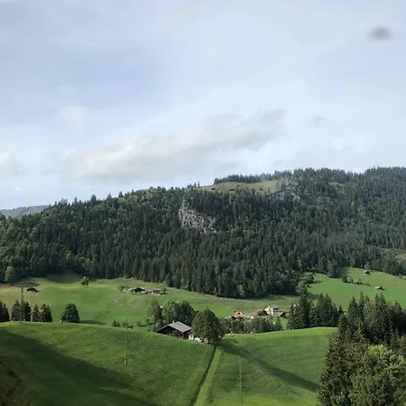 아파트 Region De Gstaad - Ultra Modern Apartment- Huge Roof Terrace - Great Views 츠바이지멘