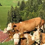 Region De Gstaad - Ultra Modern Apartment- Huge Roof Terrace - Great Views Цвайзиммен