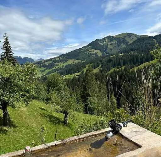 דירה Region De Gstaad - Ultra Modern Apartment- Huge Roof Terrace - Great Views צווייזימן